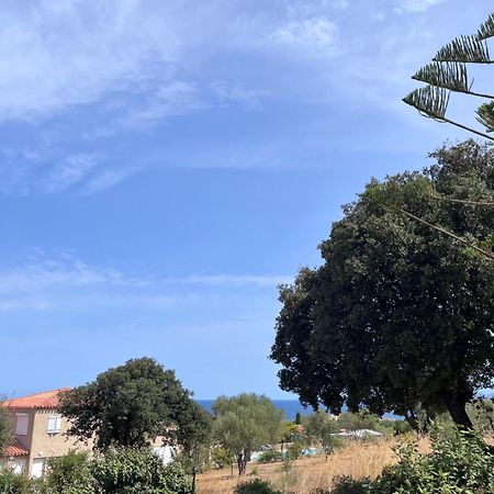 Appartement Rez De Villa LʼÎle-Rousse Exteriör bild