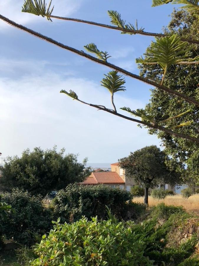 Appartement Rez De Villa LʼÎle-Rousse Exteriör bild