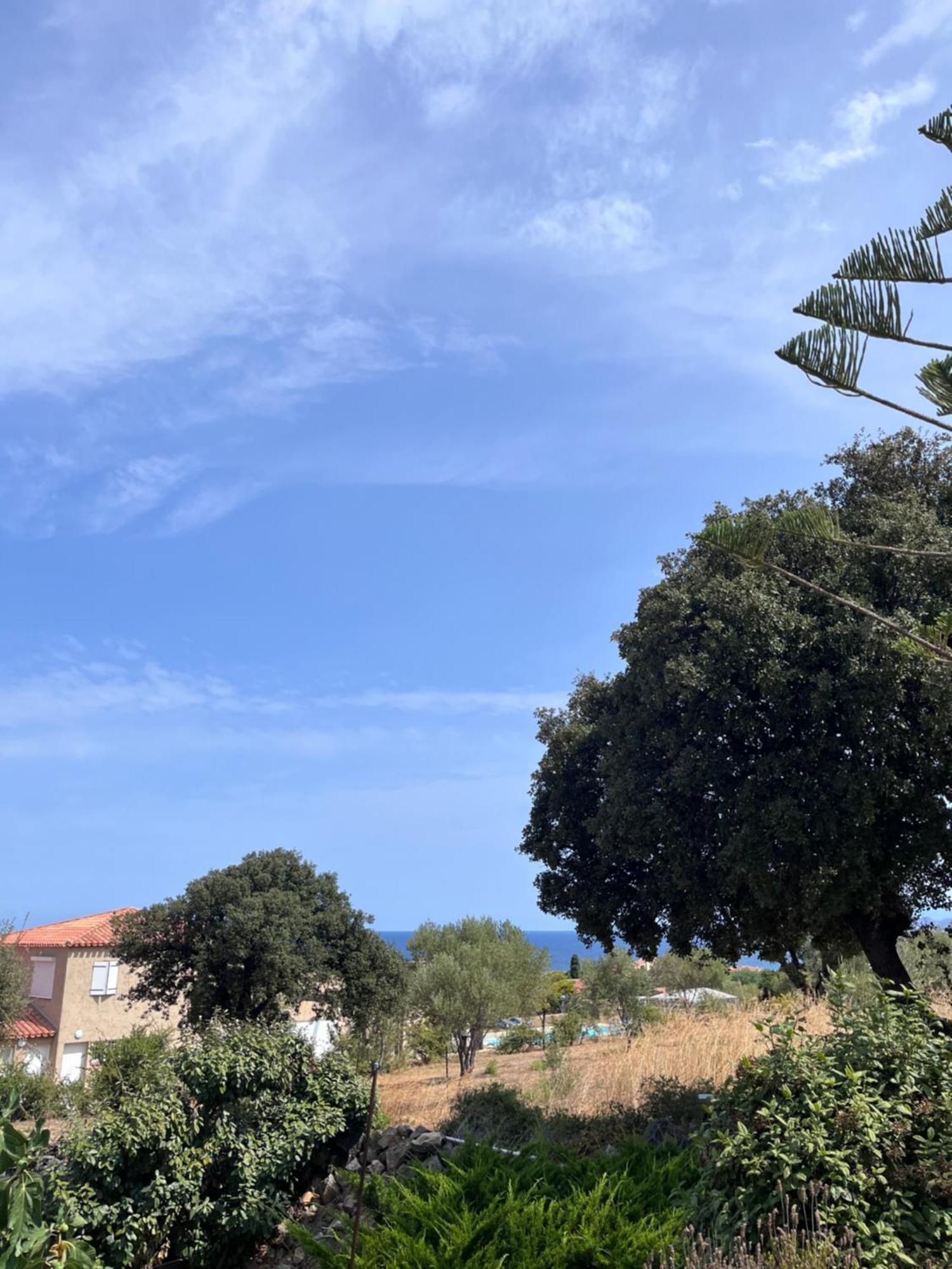 Appartement Rez De Villa LʼÎle-Rousse Exteriör bild